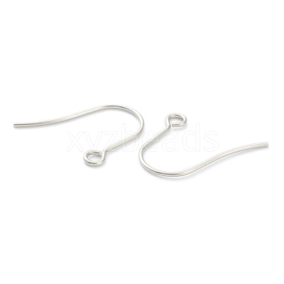 Tarnish Resistant 316 Surgical Stainless Steel Earring Hooks STAS-M288-02P-B-1