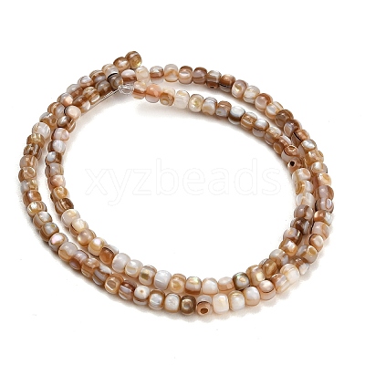 Natural Freshwater Shell Beads Strands SH-CBA93AD-03-1
