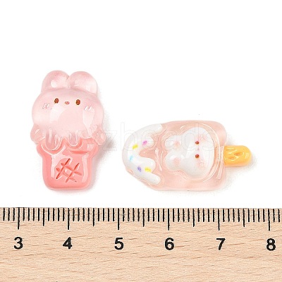 Transparent Rabbit Resin Cabochons CRES-D283-02-1