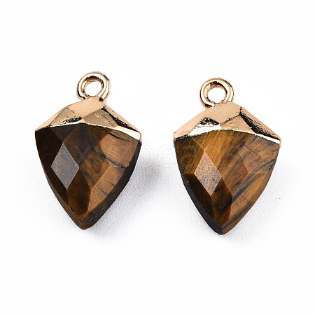 Natural Tiger Eye Pendants G-N326-134-01-1